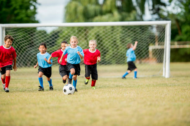 Sport Fields