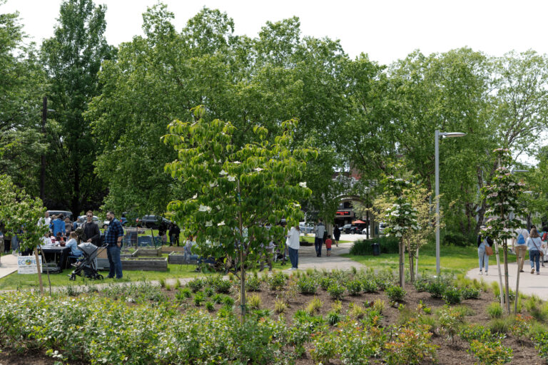 Coventry Peace Park (12)
