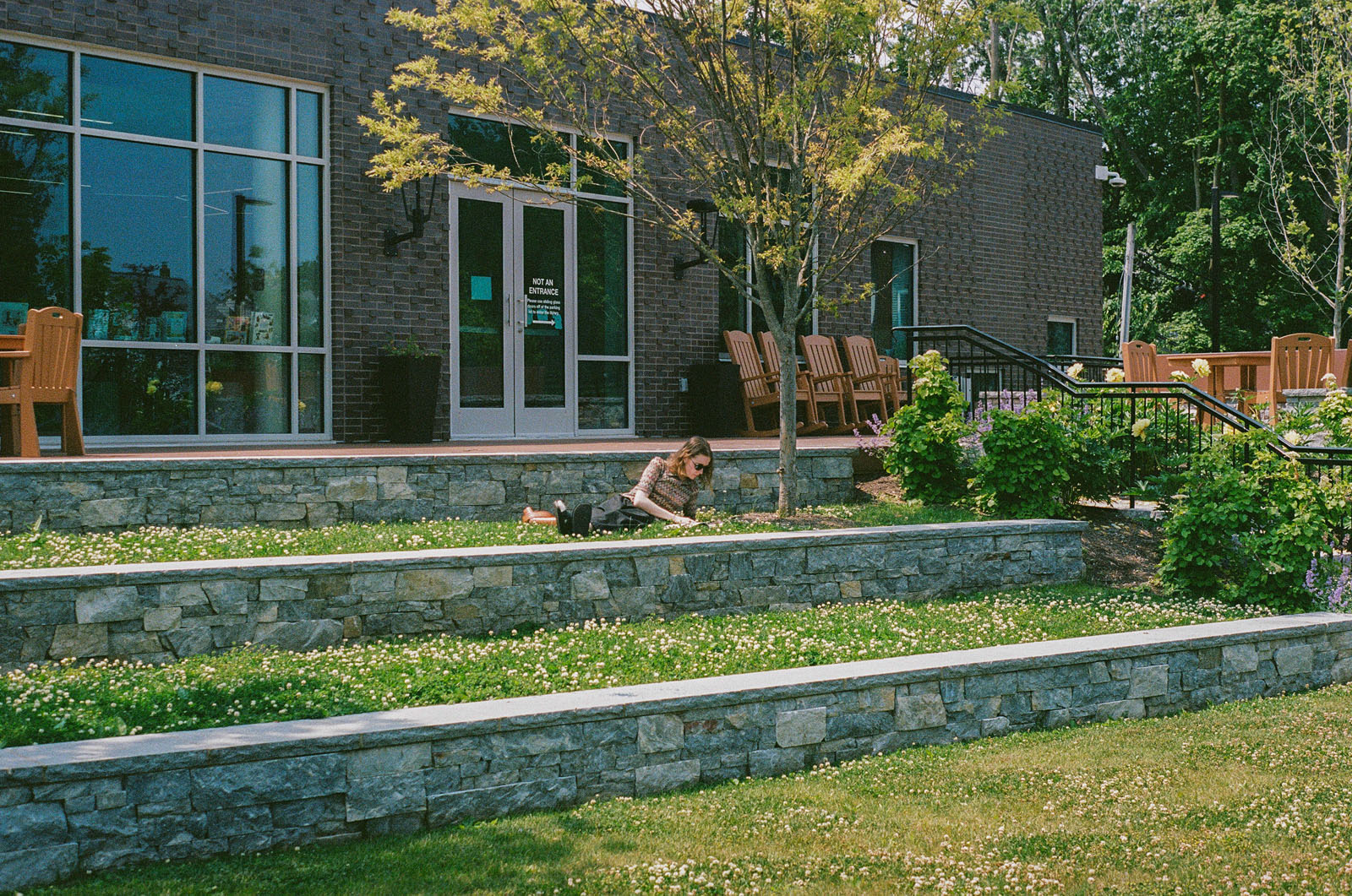 Noble Library (14)