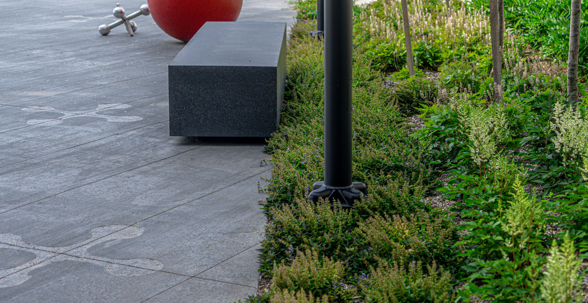 DSC09841(WS)